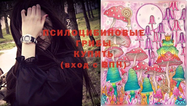 соль ск Лихославль