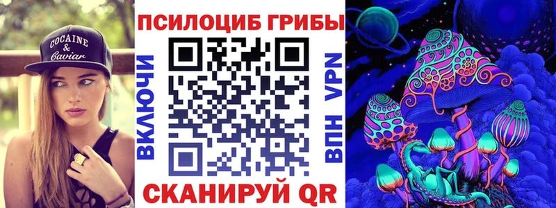 Псилоцибиновые грибы мицелий Чернушка