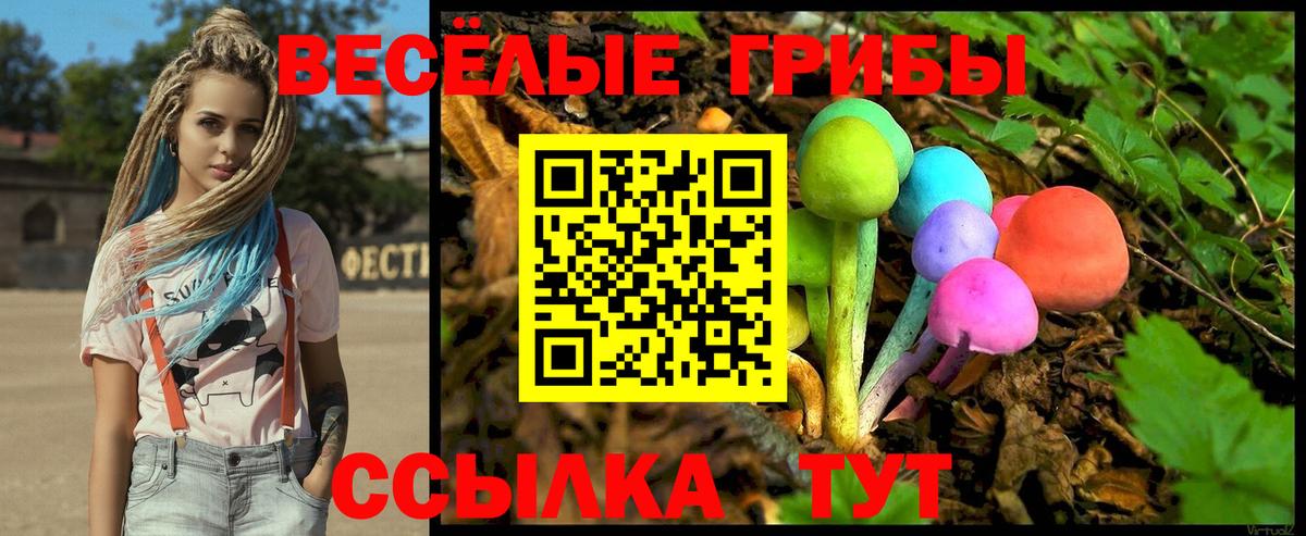 Галлюциногенные грибы Psilocybine cubensis  Вход с VPN  Чернушка 