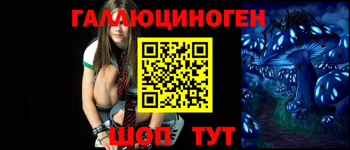 Галлюциногенные грибы мухоморы  Чернушка 